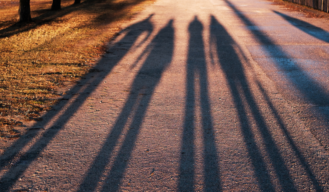 Meet the MP Smarter Travel Team