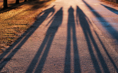 Meet the MP Smarter Travel Team