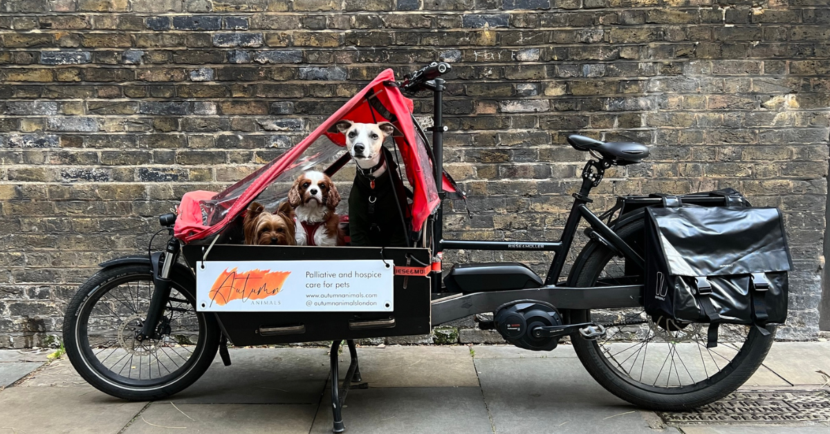 Autumn Animals cargo bike with pets.